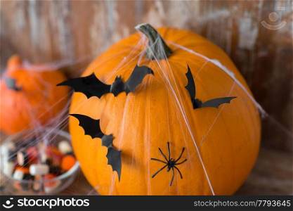 halloween, decorations and holidays concept - pumpkins with bats, spider web and candies. halloween pumpkins with bats and spider web