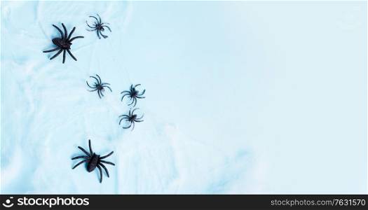 Halloween flat lay banner on blue background with spiders. Halloween scene on orange background