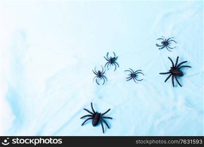 Halloween flat lay scene on blue background with spiders and web. Halloween scene on orange background