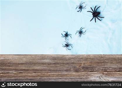 Halloween flat lay scene on blue background with spiders. Halloween scene on orange background