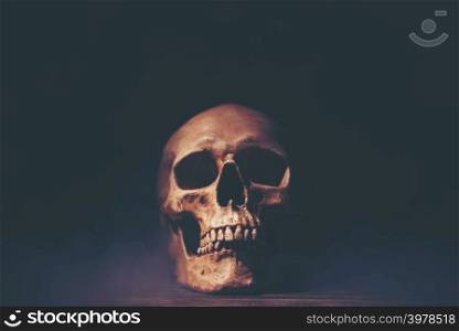 Halloween Human Skull