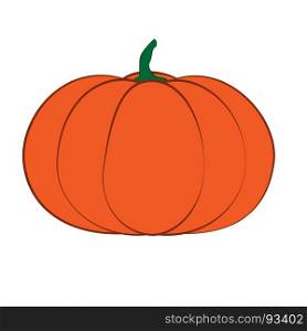 Halloween isolated pumpkin in . Autumn dall thanksgiving food for vegetarian. Natural seasonal plant from farm or garden.. Halloween isolated pumpkin in . Autumn dall thanksgiving food for vegetarian. Natural seasonal plant from farm or garden. White light and orange.