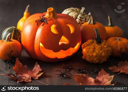 halloween Jack O Lantern pumpkin spiders