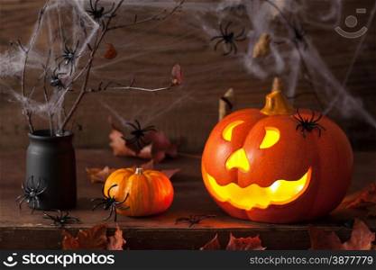 halloween Jack O Lantern pumpkin spiders leaves