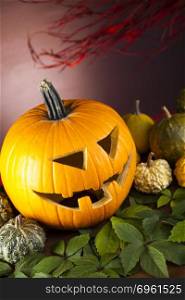 Halloween Pumpkin, bright colorful vivid theme
