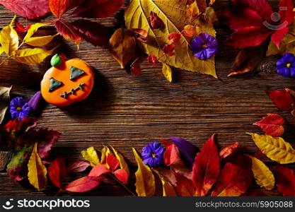 Halloween pumpkin copy space on wooden background backdrop