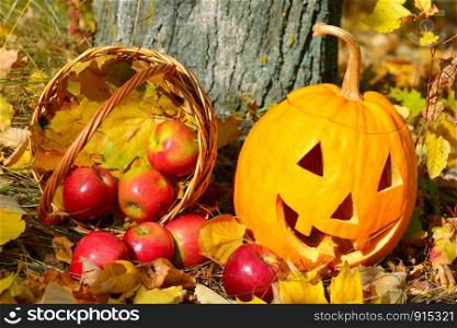 Halloween pumpkin head jack lantern against a background of an autumn forest.