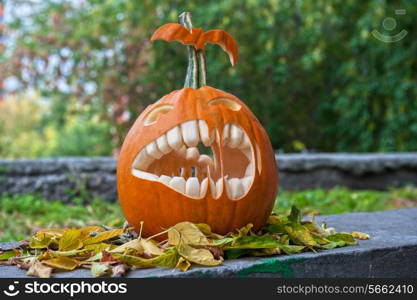 Halloween pumpkin on leaves background