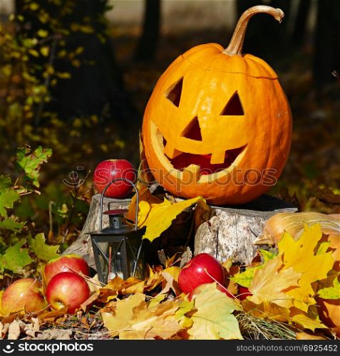 Halloween pumpkin on stump in autumn forest.