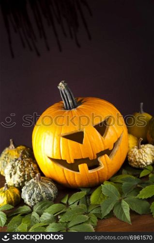 Halloween Pumpkin, Scary Jack, bright colorful vivid theme