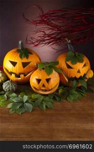 Halloween Pumpkin, Scary Jack, bright colorful vivid theme