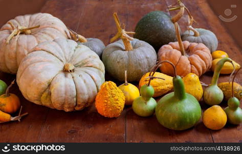 Halloween pumpkin still life on wood table with various species