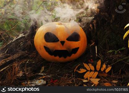 Halloween Pumpkin with a carved scary muzzle and smoke coming from the eye sockets. Forest.