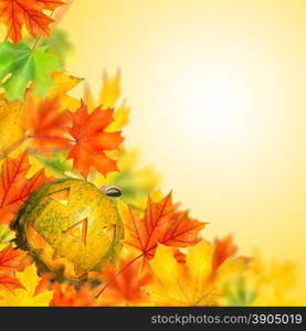 halloween pumpkin with autumn leaves isolated