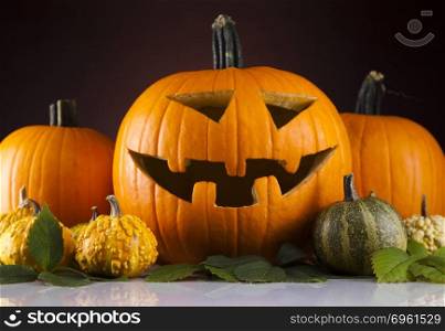 Halloween pumpkins in the Grass Bats