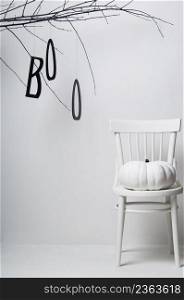 halloween tree branch with one white pumpkin on a chair on a white background. halloween pumpkin on a chair