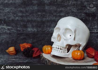 Halloween Weekends. Halloween decorations. Pumpkin with skull. Halloween Scene on wooden background. Halloween Weekends. Halloween decorations. Pumpkin with skull. Halloween Scene
