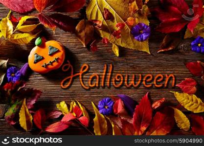 Halloween written word in pumpkin fall background with autumns red golden leaves