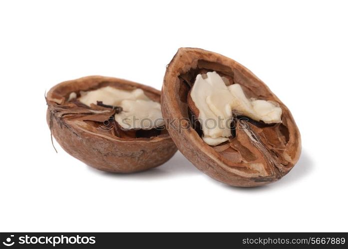 Halves of walnut isolated on white background