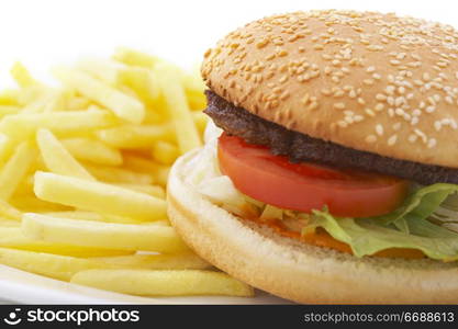 hamburger and french fries on the plate over white background