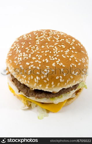 Hamburger and junk food