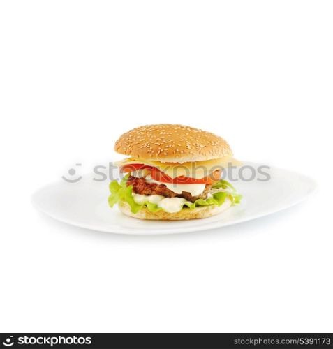 hamburger and vegetables on white