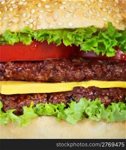 hamburger closeup