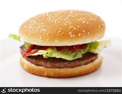 Hamburger. Hamburger with salad, and ketchup on white plate, towards white background