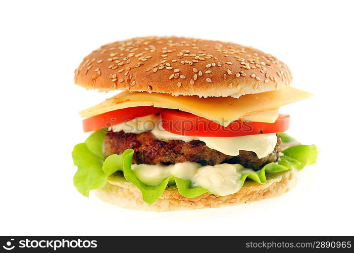 hamburger with cutlet and vegetables close up