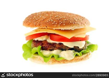 hamburger with cutlet and vegetables close up