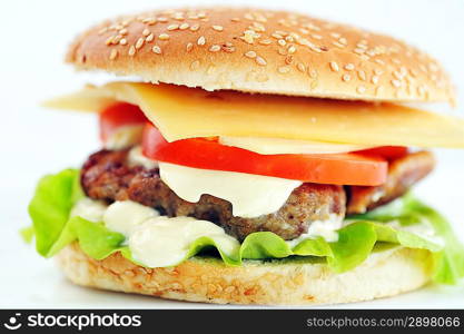 hamburger with cutlet and vegetables close up
