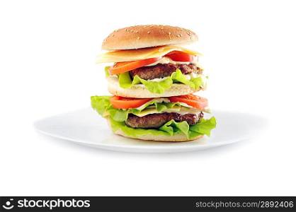 hamburger with cutlet and vegetables on dish
