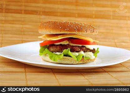 hamburger with cutlet and vegetables on dish