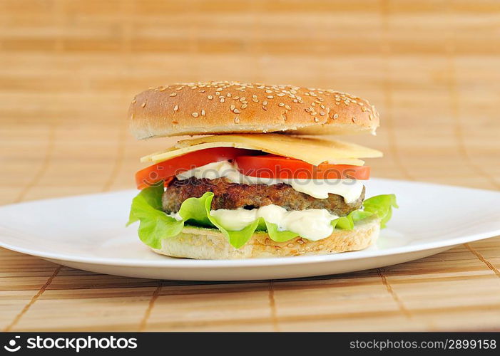 hamburger with cutlet and vegetables on dish