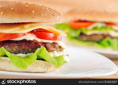 hamburger with cutlet and vegetables on dish