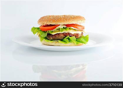 hamburger with cutlet and vegetables on dish