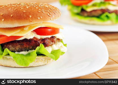 hamburger with cutlet and vegetables on dish