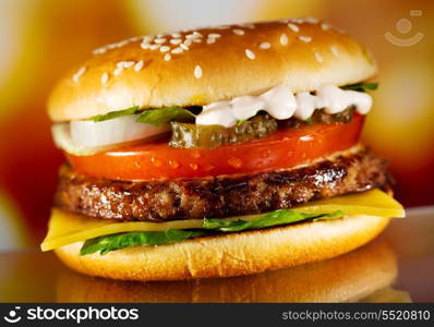 hamburger with fresh vegetables