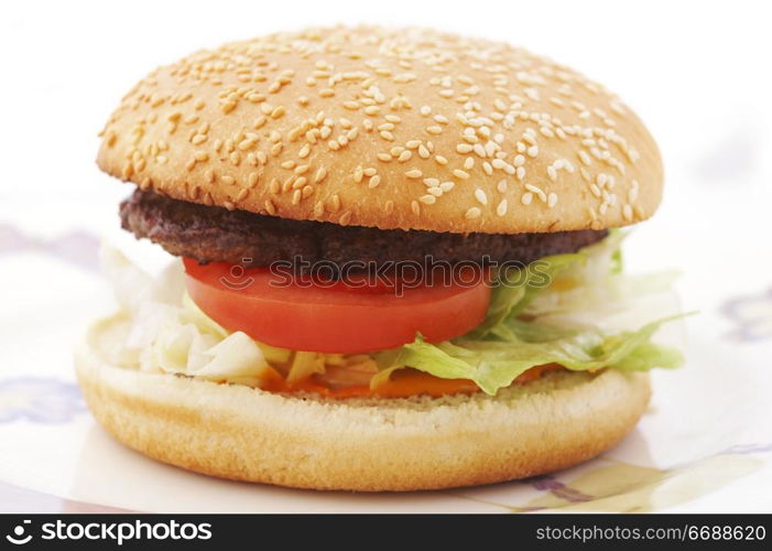 Hamburger with tomato and lettuce on the plate