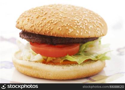Hamburger with tomato and lettuce on the plate