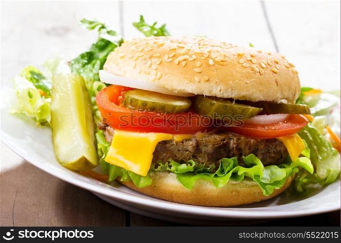 hamburger with vegetables and salad