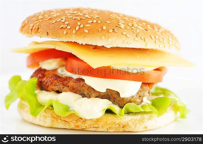 hamburger with vegetables on white