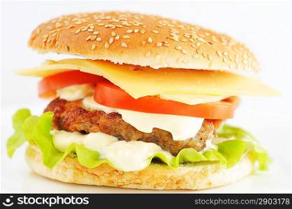 hamburger with vegetables on white