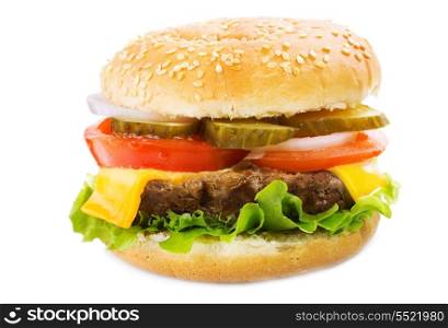 hamburger with vegetables on white background