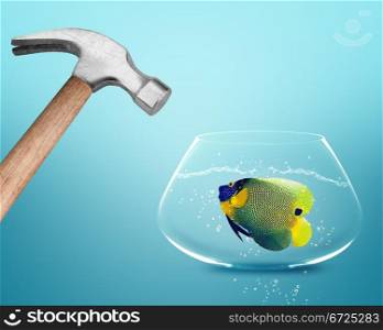 Hammer hitting fish bowl.. Hammer