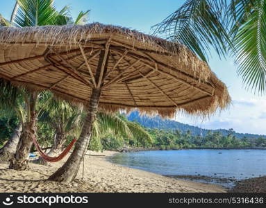 Hammock between the trees and sunshade on a tropical beach. Hammock and sunshade on a tropical beach