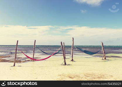 hammock in lagoon