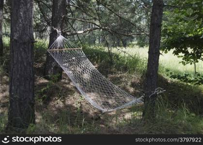 Hammock in the mountain forest