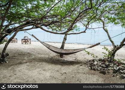 Hammock in the shade of a tree on a tropical beach