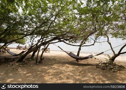Hammock in the shade of a tree on a tropical beach